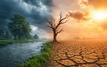 El Niño : le PAM alerte sur une aggravation de la faim mondiale d’ici 2027