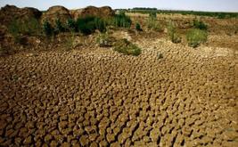 Climat : le Maroc face à une sécheresse agricole qui accentue la pression sur l’eau