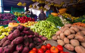 أسعار الخضر ترتفع مجددا