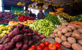 أسعار الخضر ترتفع مجددا