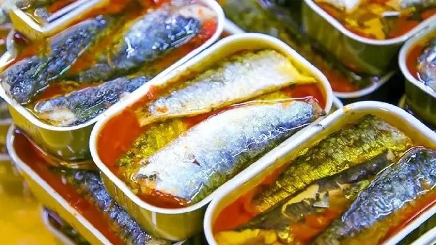 السردين المغربي يربك الأسواق الأوروبية.. تراجع المصايد يهدد رفوف المتاجر