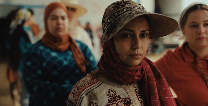 «توت الأرض» يمثل المغرب في أوسكار 2027