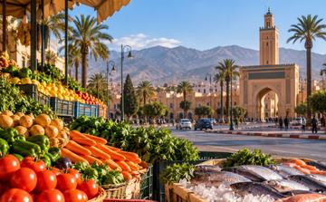 Oujda : les prix à la consommation reculent de 0,8 % en juillet 2026