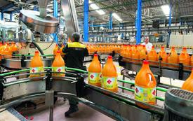 Lesieur Cristal : le recul des volumes pèse sur les résultats du premier semestre