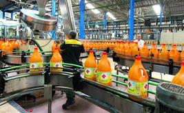 Lesieur Cristal : le recul des volumes pèse sur les résultats du premier semestre
