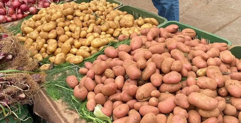 قفزة قياسية في واردات البطاطس إلى المغرب بأكثر من 12 ألف طن