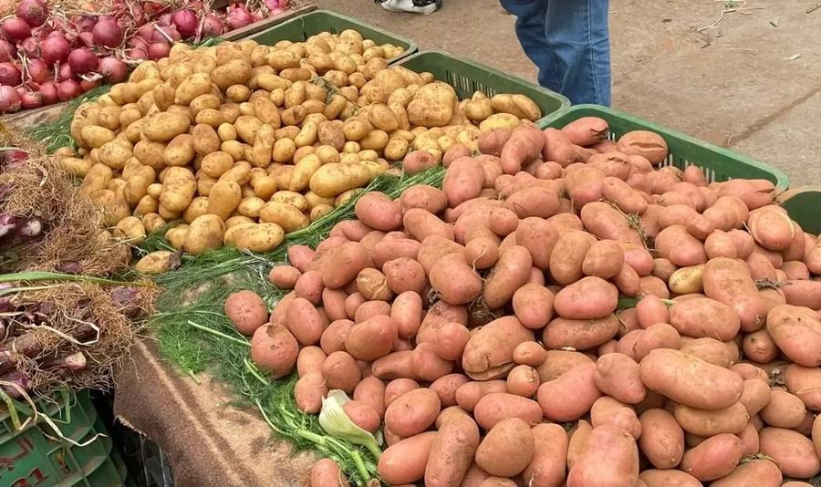 قفزة قياسية في واردات البطاطس إلى المغرب بأكثر من 12 ألف طن