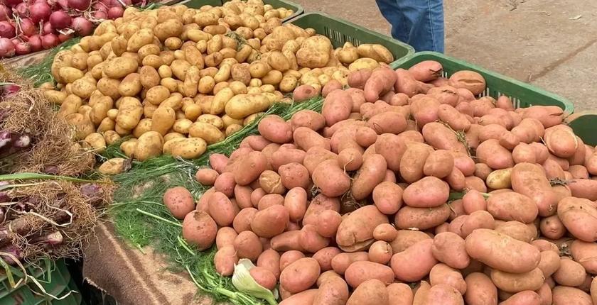 قفزة قياسية في واردات البطاطس إلى المغرب بأكثر من 12 ألف طن