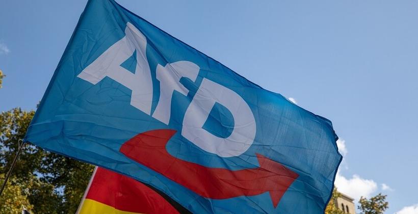 60% of German voters understand migrants’ security concerns after AfD victory