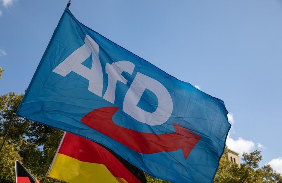 60% of German voters understand migrants’ security concerns after AfD victory
