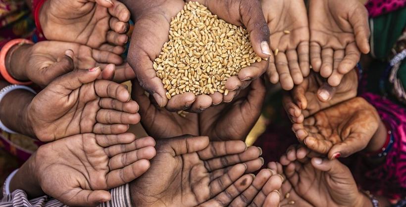 Middle East conflict could leave up to 520 million people facing hunger by 2030