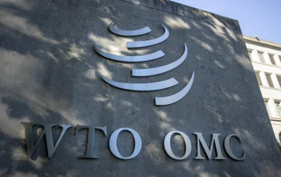 WTO warns global economic fragmentation could hit output and trade