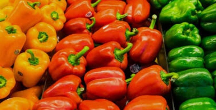 الفلفل المغربي يقترب من ألمانيا في السوق البريطانية