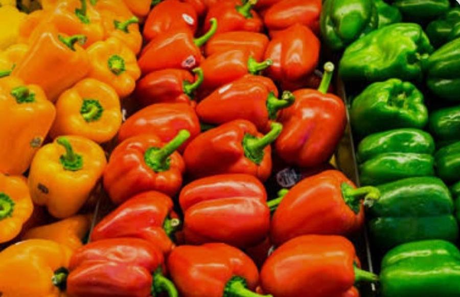 الفلفل المغربي يقترب من ألمانيا في السوق البريطانية