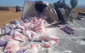 اصطدام شاحنتين يخلف قتيلا وعددا من الجرحى ببني ملال