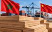 Maroc : le droit antidumping sur le contreplaqué chinois maintenu à 76 %