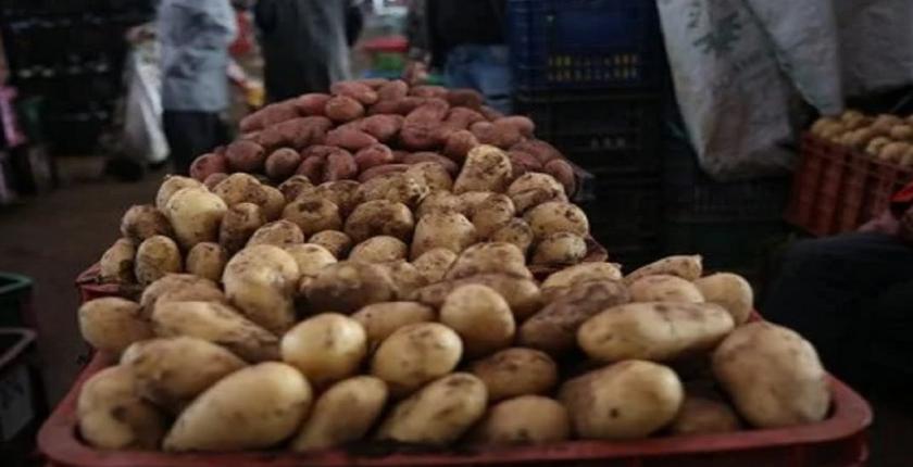 Casablanca : le prix des pommes de terre grimpe jusqu’à 8 dirhams le kilo