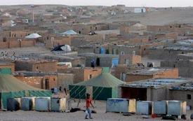 Camps de Tindouf : deux ONG interpellent le Conseil des droits de l’Homme à Genève