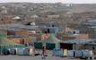 Camps de Tindouf : deux ONG interpellent le Conseil des droits de l’Homme à Genève