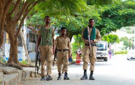 Éthiopie : l’armée annonce 272 morts dans les rangs du TPLF après de nouveaux combats