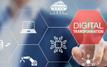 Transformation digitale : l’APEBI porte l’expérience marocaine au cœur du TNF Global Summit