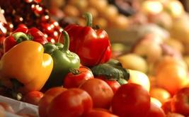 Morocco Foodex expands sustainability expertise to support food exporters