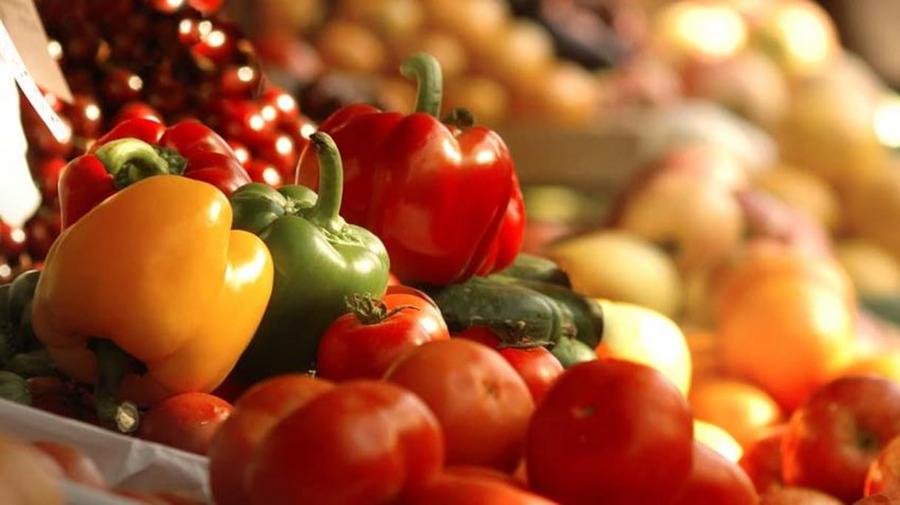Morocco Foodex expands sustainability expertise to support food exporters