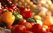 Morocco Foodex expands sustainability expertise to support food exporters