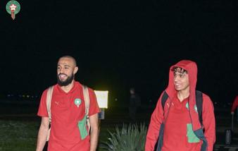بعثة الأسود تحط الرحال بجنوب إفريقيا