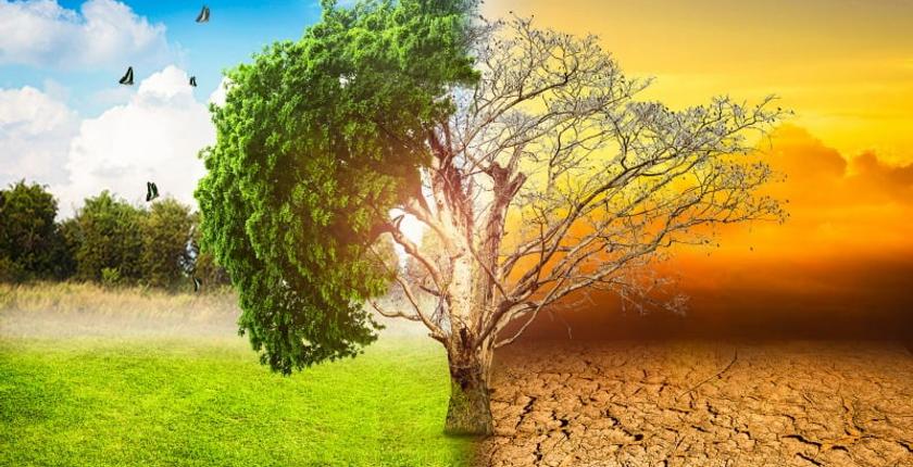 Marrocos enfrenta crescentes riscos climáticos devido ao calor, seca e escassez de água