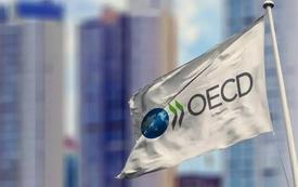 ה-OECD מדגיש את הגישה החדשה של מרוקו לניהול סיכונים קריטיים