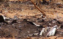 Crash du vol Air Algérie AH5017 : Swiftair condamnée à 225 000 euros d’amende en France