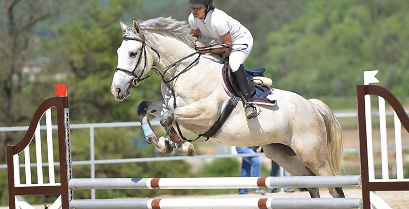 Morocco Royal Tour 2026 : trois semaines de saut d’obstacles au plus haut niveau
