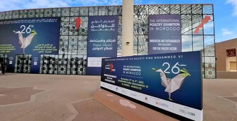 Dawajine 2026: Morocco’s poultry industry looks ahead to 2030