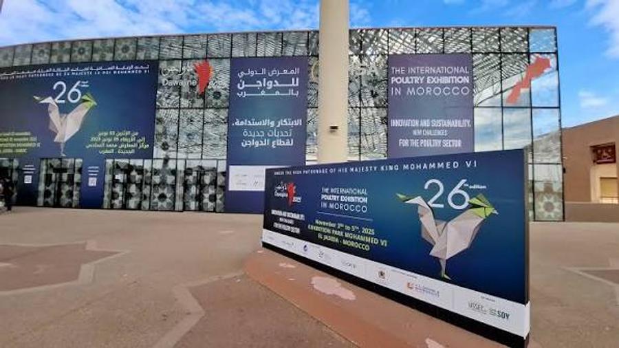 Dawajine 2026: Morocco’s poultry industry looks ahead to 2030