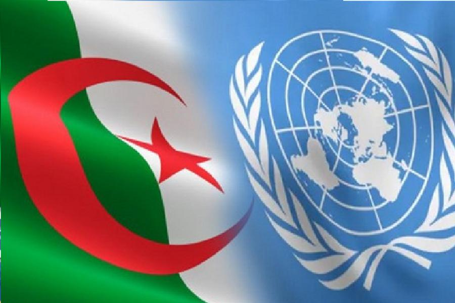 UN seminar raises concerns over Algeria’s role in NGO accreditation procedures