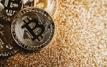 Crypto activity remains resilient despite falling valuations in 2026