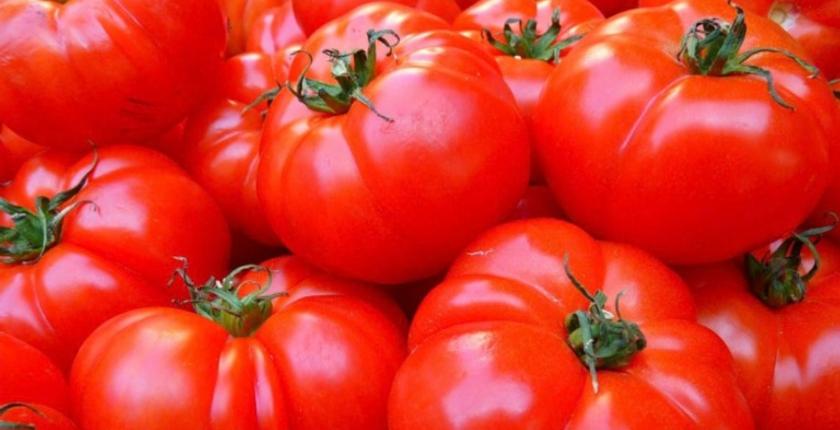Tomates : le Maroc confirme sa deuxième place parmi les fournisseurs de l’Union européenne