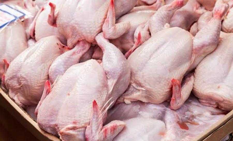 ارتفاع جديد في أسعار الدجاج