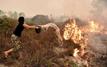 Indonésie : les incendies de forêt continuent de propager des fumées toxiques en Asie du Sud-Est