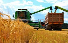 Céréales : le Kazakhstan envisage le Maroc comme plateforme d’accès aux marchés africains