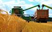 Céréales : le Kazakhstan envisage le Maroc comme plateforme d’accès aux marchés africains