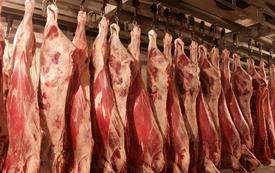 Casablanca wholesale market sees beef prices rise as vegetable prices diverge