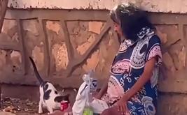 مطالب بتدخل عاجل لإنقاذ سيدة حامل تفترش الشارع بطانطان