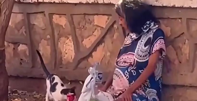 مطالب بتدخل عاجل لإنقاذ سيدة حامل تفترش الشارع بطانطان