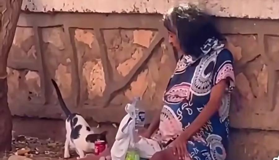 مطالب بتدخل عاجل لإنقاذ سيدة حامل تفترش الشارع بطانطان
