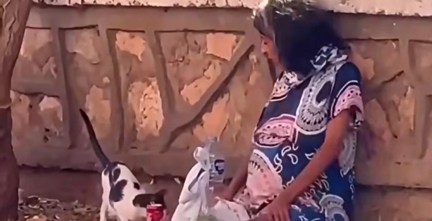 مطالب بتدخل عاجل لإنقاذ سيدة حامل تفترش الشارع بطانطان