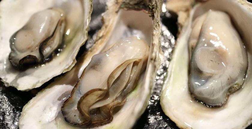 Floride : 21 infections et quatre décès liés à la bactérie Vibrio vulnificus depuis janvier