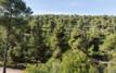 Les forêts marocaines représentent 17 milliards de dirhams de valeur par an