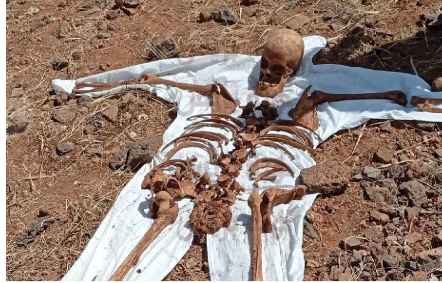 استنفار أمني بعد العثور على رفات بشرية بالناظور